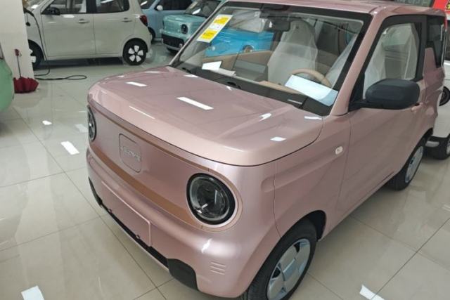 Used Geely Galaxy Panda 2024 Panda Mini 200km Endurance Bear