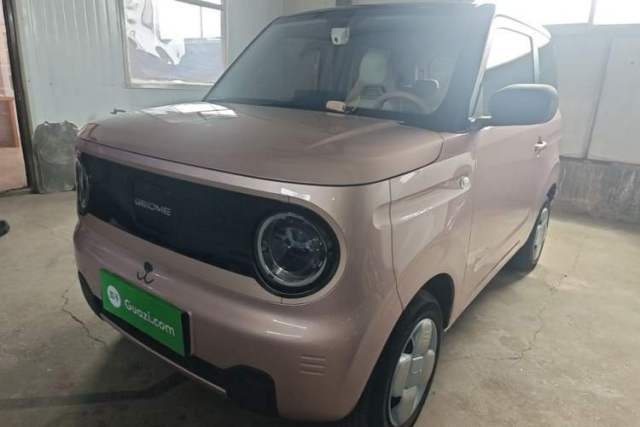 Used Geely Galaxy Panda 2024 Panda Mini 200km Endurance Bear