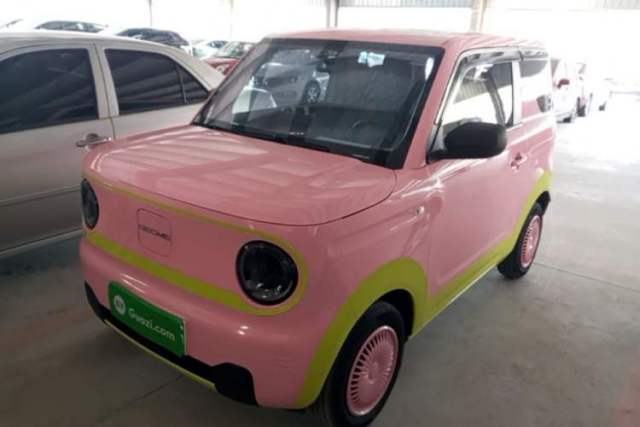 Used Geely Galaxy Panda 2024 Panda Mini 200km Endurance Bear
