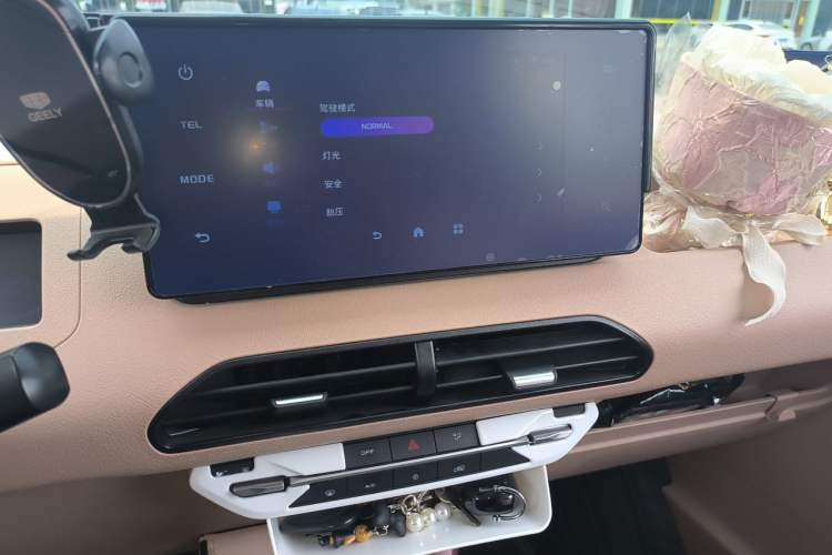 Used Geely Galaxy Panda 2024 Panda Mini 200km Endurance Bear Audio And AC Panel
