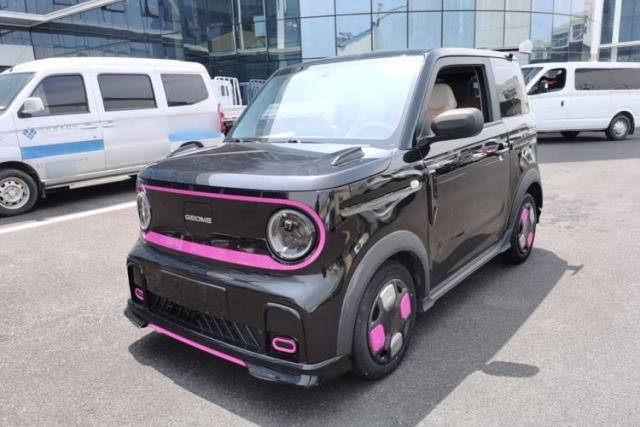 Used Geely Galaxy Panda 2024 200km Panda Kart
