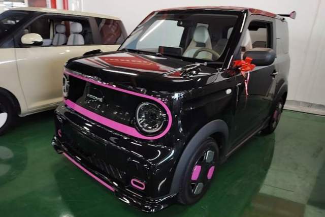Used Geely Galaxy Panda 2024 200km Panda Kart