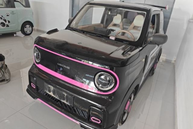 Used Geely Galaxy Panda 2024 200km Panda Kart