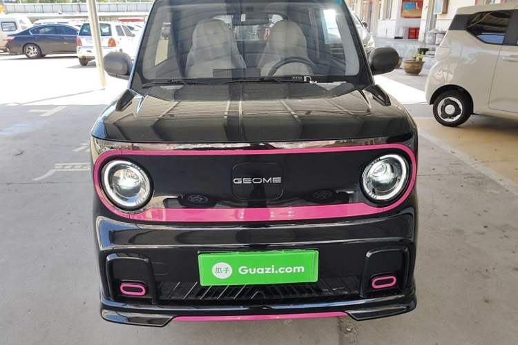 Used Geely Galaxy Panda 2024 200km Panda Kart Front