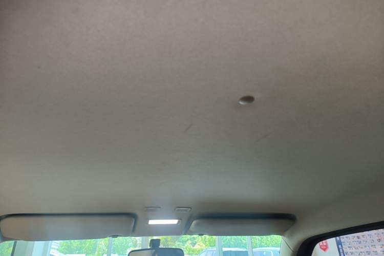 Used Geely Galaxy Panda 2024 200km Panda Kart Headliner