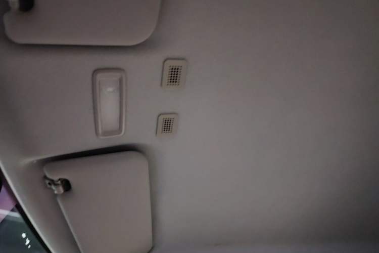 Used Geely Galaxy Panda 2024 200km Panda Kart Headliner