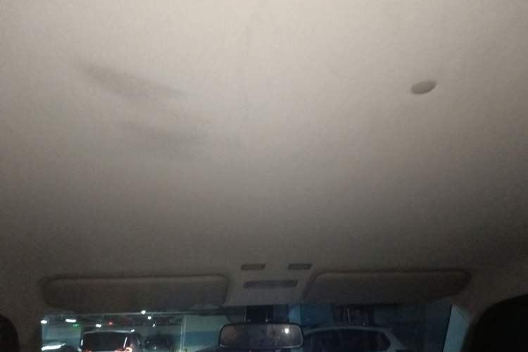 Used Geely Galaxy Panda 2024 200km Panda Kart Headliner