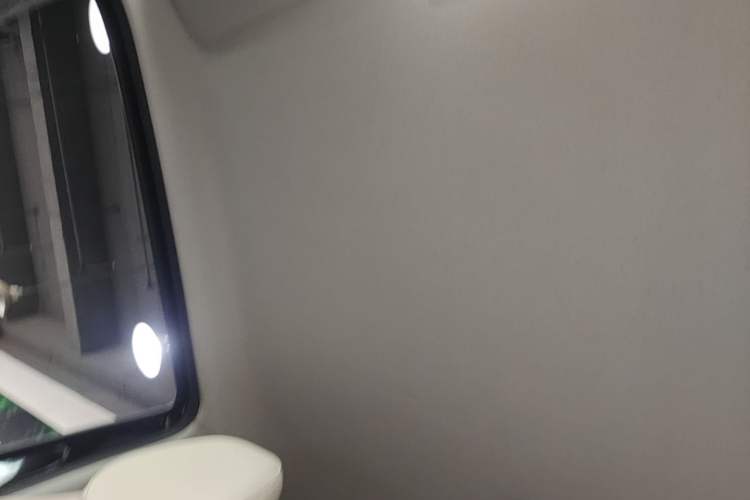 Used Geely Galaxy Panda 2024 200km Panda Kart Headliner