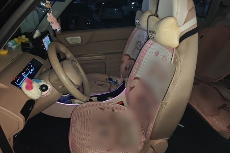 Used Geely Galaxy Panda 2024 200km Panda Kart Left Front Seat