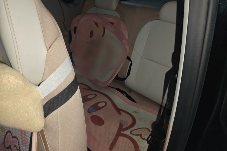 Used Geely Galaxy Panda 2024 200km Panda Kart Left Rear Seat