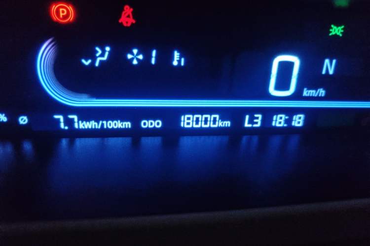 Used Geely Galaxy Panda 2024 200km Panda Kart Odometer Close Up