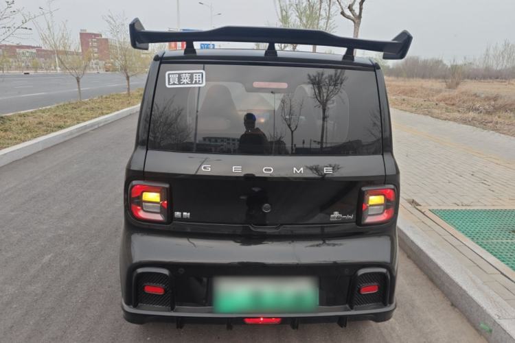 Used Geely Galaxy Panda 2024 200km Panda Kart Rear