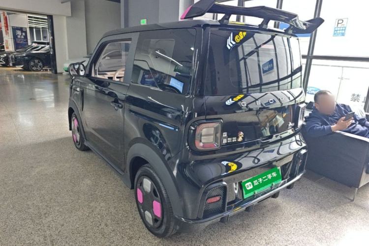 Used Geely Galaxy Panda 2024 200km Panda Kart Rear Left 45 Deg