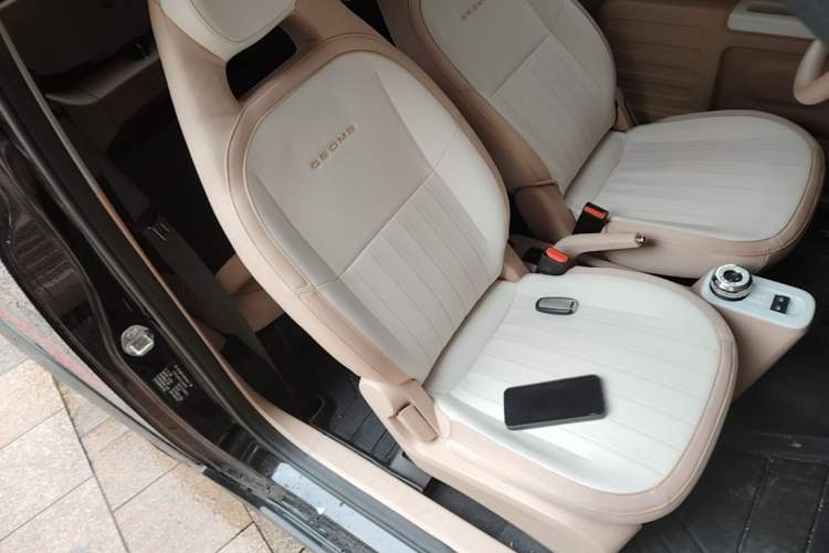 Used Geely Galaxy Panda 2024 200km Panda Kart Right Front Seat