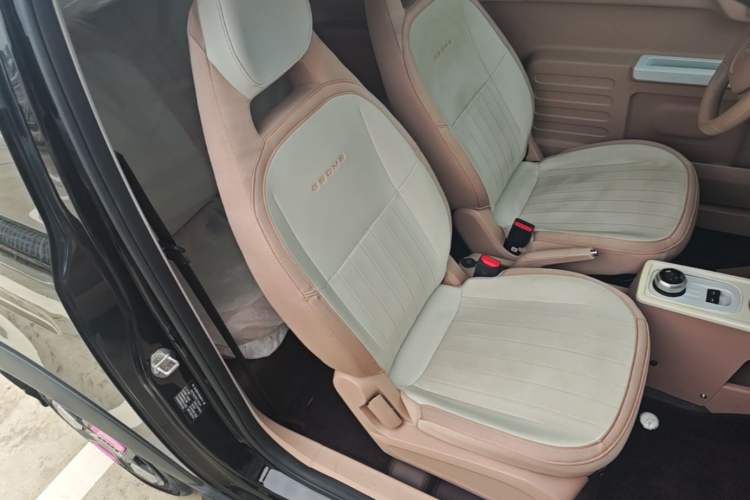 Used Geely Galaxy Panda 2024 200km Panda Kart Right Front Seat