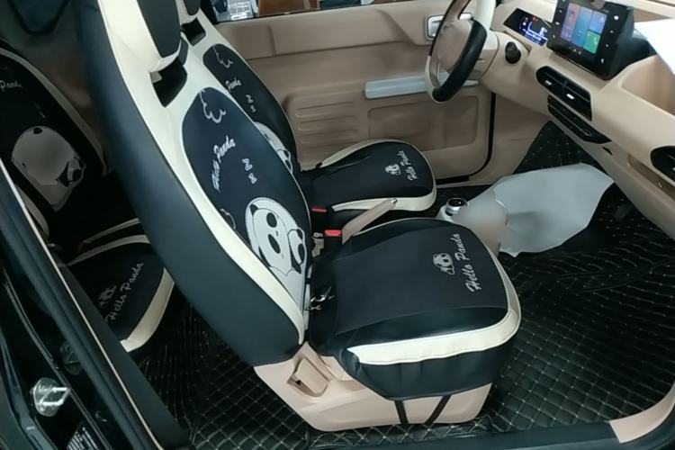 Used Geely Galaxy Panda 2024 200km Panda Kart Right Front Seat