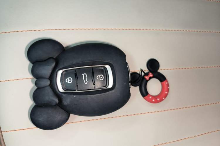 Used Geely Galaxy Panda 2024 200km Panda Kart Vehicle Key