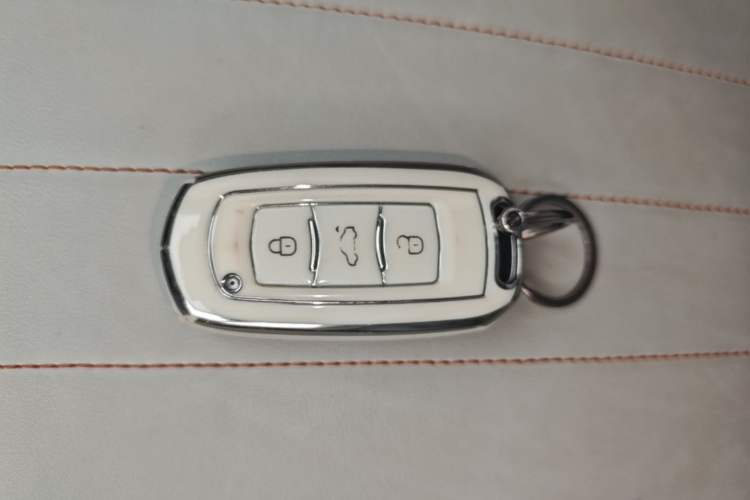 Used Geely Galaxy Panda 2024 200km Panda Kart Vehicle Key