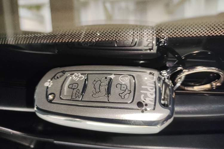 Used Geely Galaxy Panda 2024 200km Panda Kart Vehicle Key