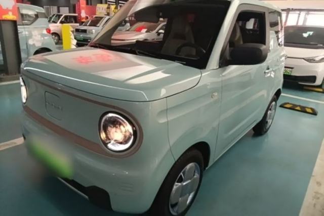 Used Geely Galaxy Panda 2024 Panda Mini 200km Endurance Bear