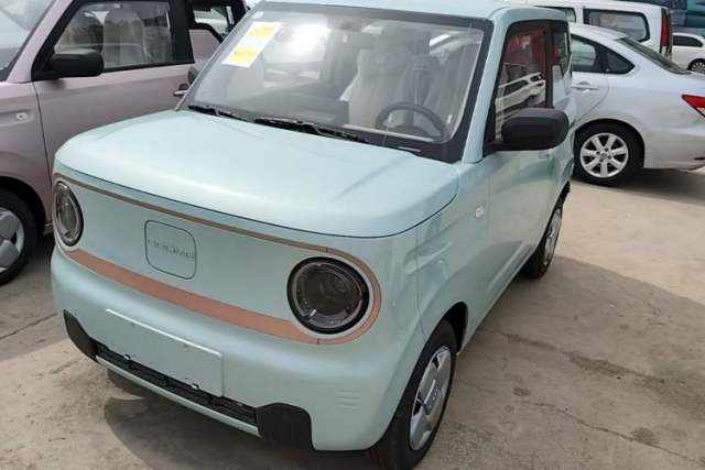 Used Geely Galaxy Panda 2024 Panda Mini 200km Endurance Bear