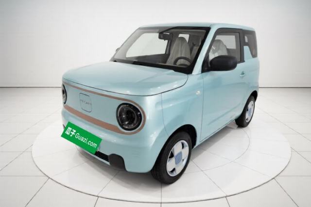Geely Galaxy Panda 2024 Panda Mini 200km Endurance Bear usado