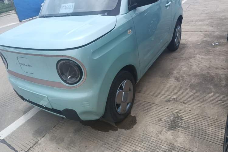 Used Geely Galaxy Panda 2024 Panda Mini 200km Longteng PRO Edition Exterior 4