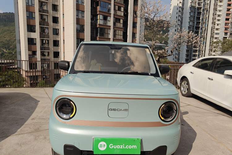 Used Geely Galaxy Panda 2024 Panda Mini 200km Endurance Bear Front