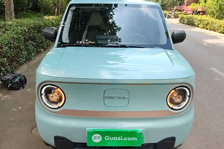 Used Geely Galaxy Panda 2024 Panda Mini 200km Endurance Bear Front
