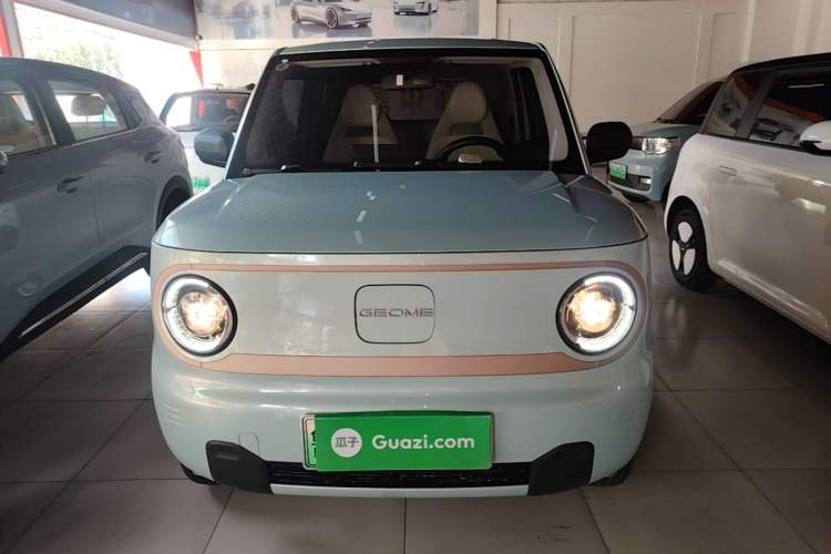 Used Geely Galaxy Panda 2024 Panda Mini 200km Endurance Bear Front