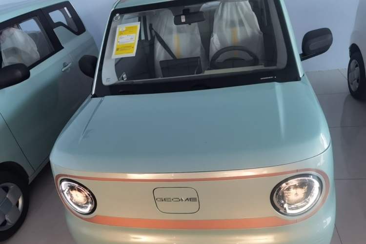 Used Geely Galaxy Panda 2024 Panda Mini 200km Endurance Bear Front