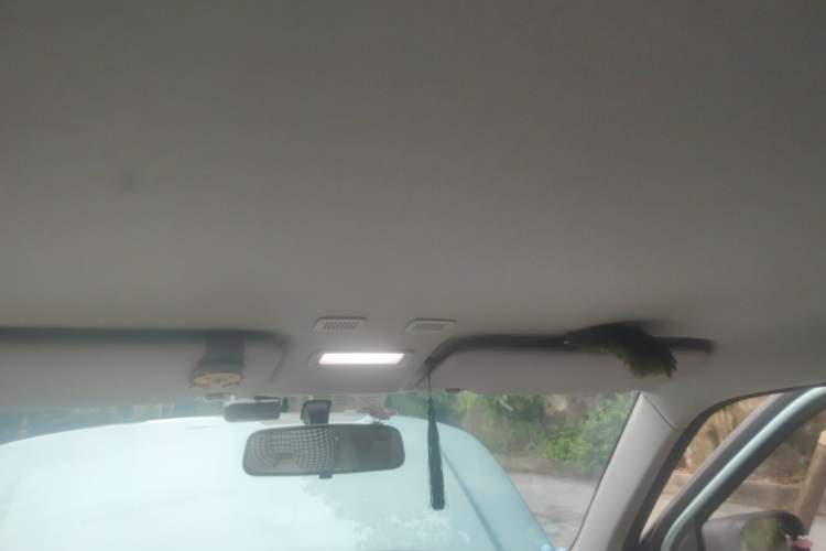 Used Geely Galaxy Panda 2024 Panda Mini 200km Endurance Bear Headliner