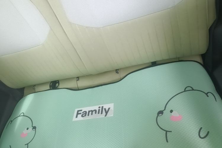 Used Geely Galaxy Panda 2024 Panda Mini 200km Longteng PRO Edition Left Rear Seat