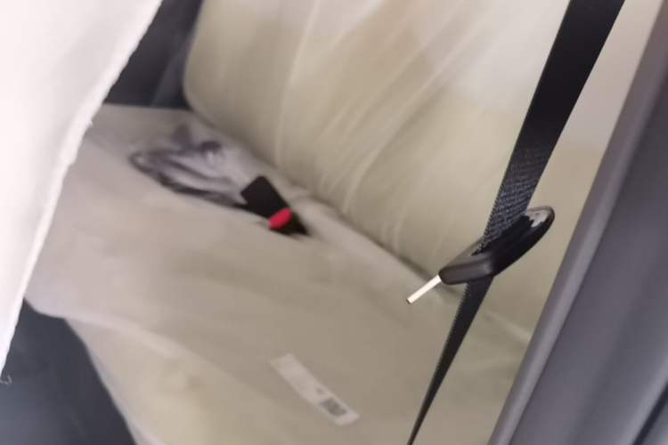 Used Geely Galaxy Panda 2024 Panda Mini 200km Endurance Bear Left Rear Seat