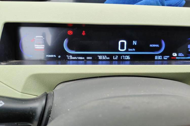 Used Geely Galaxy Panda 2024 Panda Mini 200km Endurance Bear Odometer Close Up