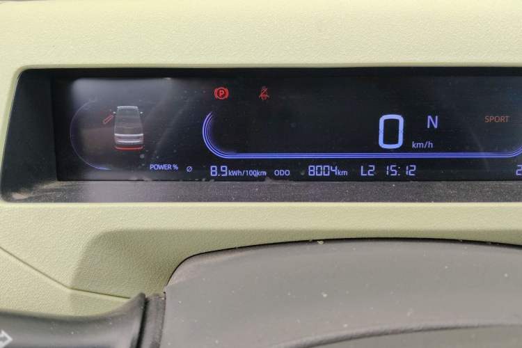 Used Geely Galaxy Panda 2024 Panda Mini 200km Endurance Bear Odometer Close Up