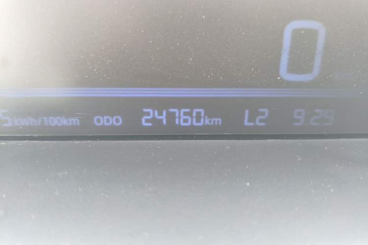Used Geely Galaxy Panda 2024 Panda Mini 200km Endurance Bear Odometer Close Up
