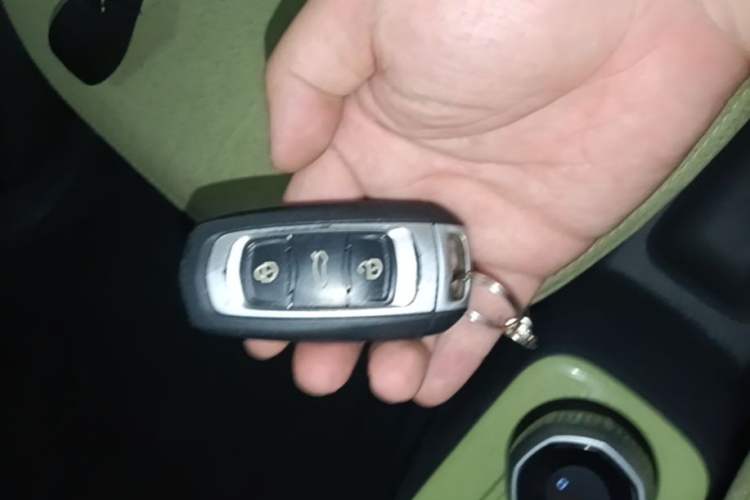 Used Geely Galaxy Panda 2024 Panda Mini 200km Endurance Bear Vehicle Key
