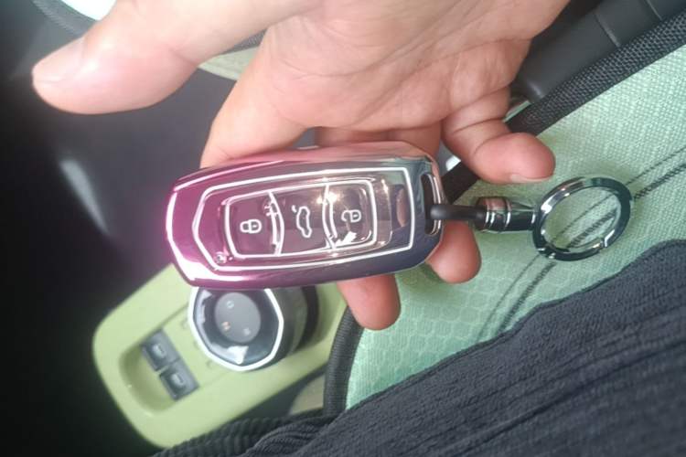 Used Geely Galaxy Panda 2024 Panda Mini 200km Longteng PRO Edition Vehicle Key