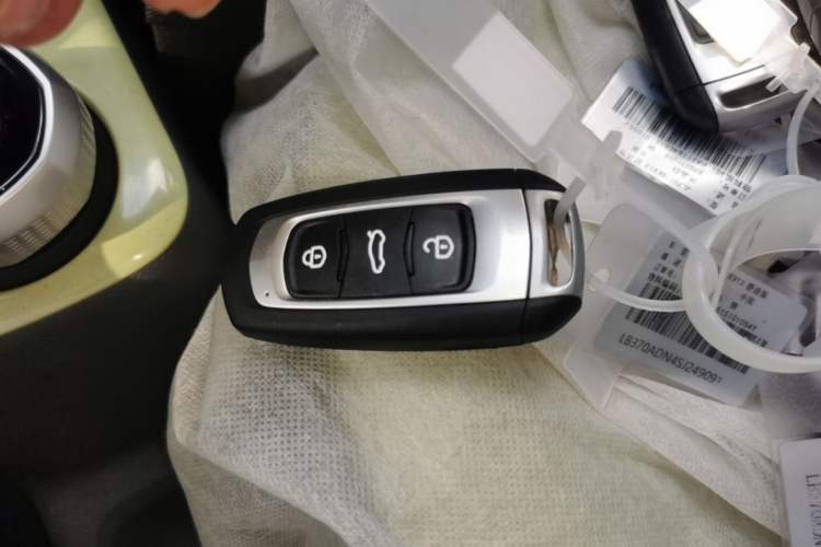 Used Geely Galaxy Panda 2024 Panda Mini 200km Endurance Bear Vehicle Key