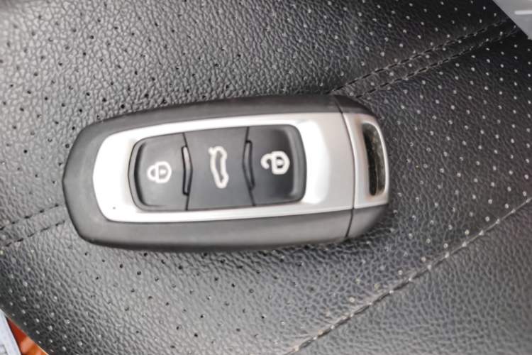 Used Geely Galaxy Panda 2024 Panda Mini 200km Endurance Bear Vehicle Key