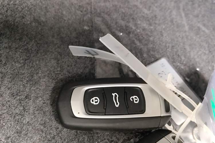 Used Geely Galaxy Panda 2024 Panda Mini 200km Endurance Bear Vehicle Key