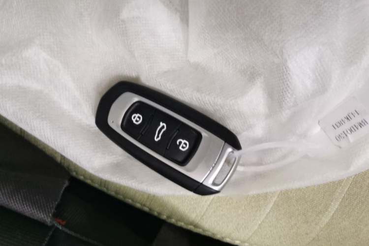 Used Geely Galaxy Panda 2024 Panda Mini 200km Endurance Bear Vehicle Key