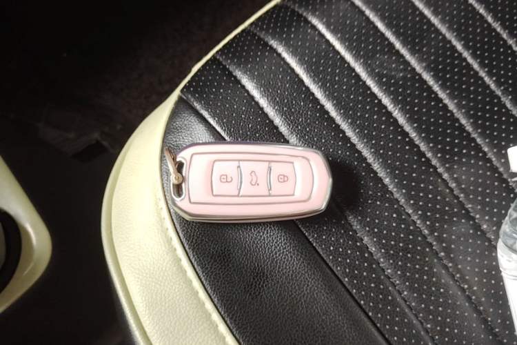 Used Geely Galaxy Panda 2024 Panda Mini 200km Endurance Bear Vehicle Key