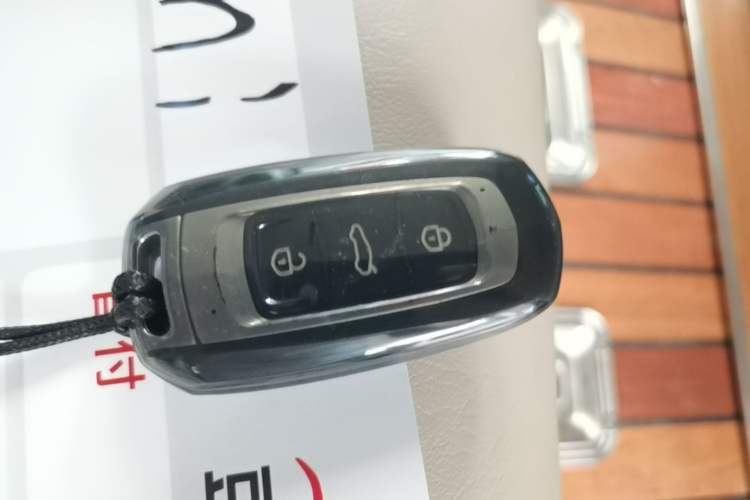 Used Geely Galaxy Panda 2024 Panda Mini 200km Endurance Bear Vehicle Key