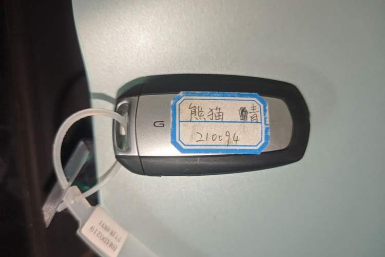 Used Geely Galaxy Panda 2024 Panda Mini 200km Endurance Bear Vehicle Key