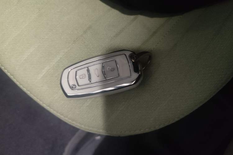 Used Geely Galaxy Panda 2024 Panda Mini 200km Endurance Bear Vehicle Key