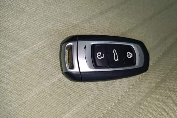 Used Geely Galaxy Panda 2024 Panda Mini 200km Endurance Bear Vehicle Key
