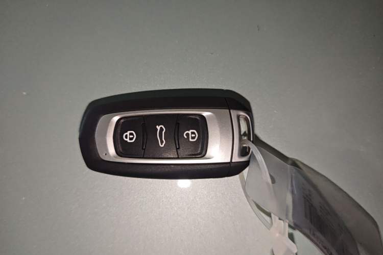 Used Geely Galaxy Panda 2024 Panda Mini 200km Endurance Bear Vehicle Key