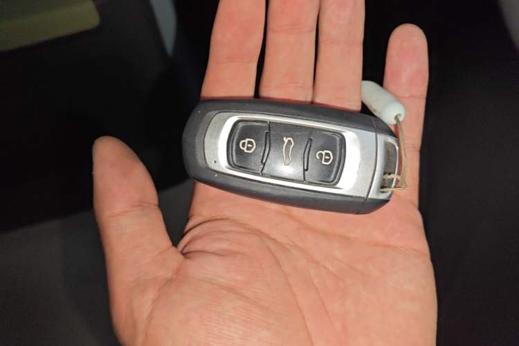 Used Geely Galaxy Panda 2024 200km Panda Kart Vehicle Key
